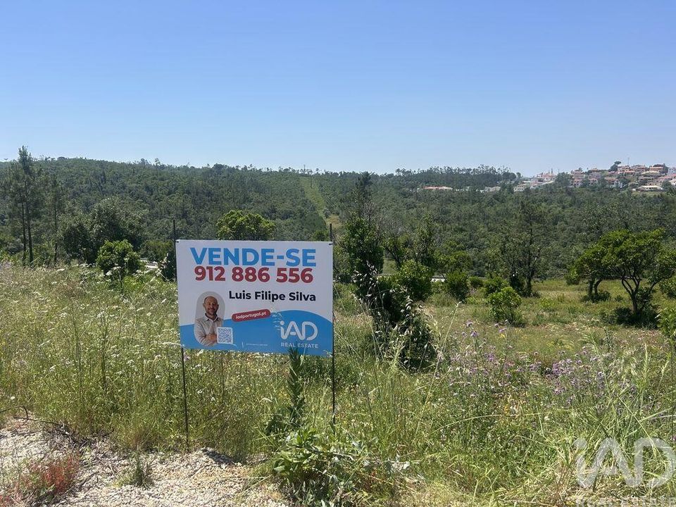 Tomt i Pombal, Leiria - bilde 1