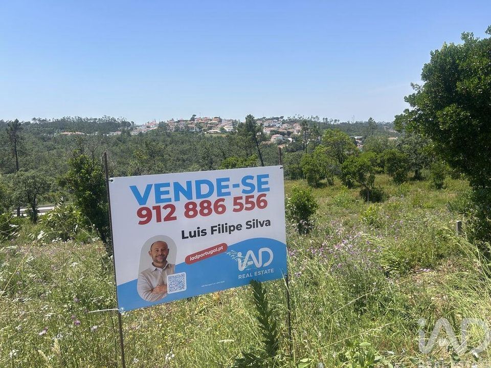 Tomt i Pombal, Leiria - bilde 4