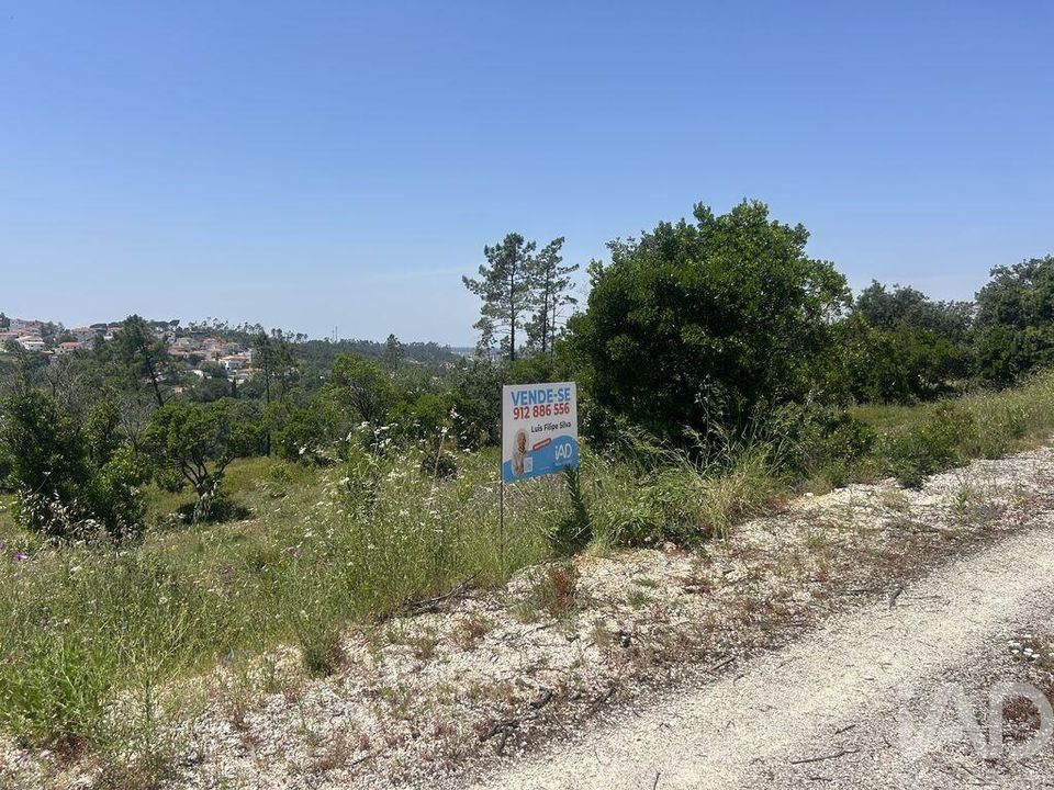 Tomt i Pombal, Leiria - bilde 5