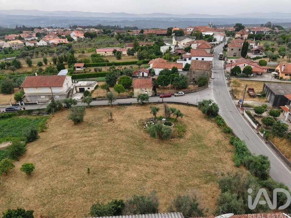 Tomt i Carregal do Sal, Viseu - foto 4