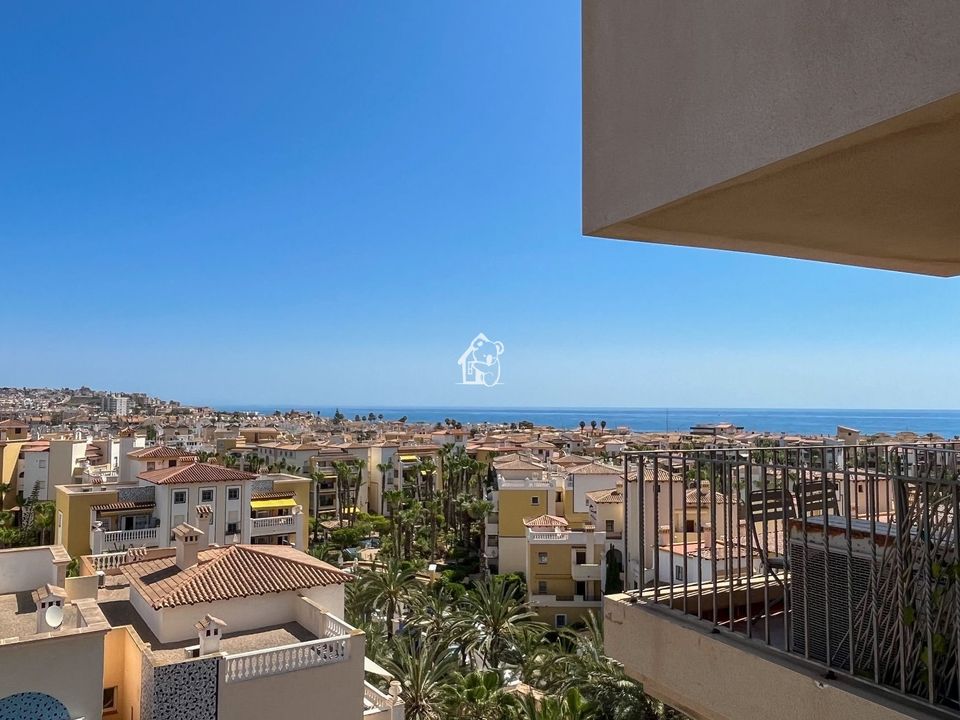 Apartment in Torrevieja, Alicante - photo 2