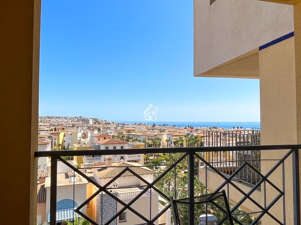 Apartment in Torrevieja, Alicante - photo 4