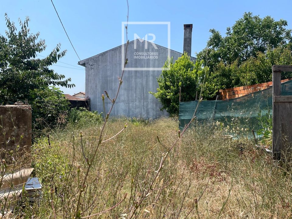 Grond in Anadia, Aveiro - foto 4