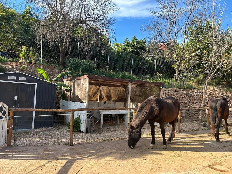 Villa i Polop, Alicante - foto 1