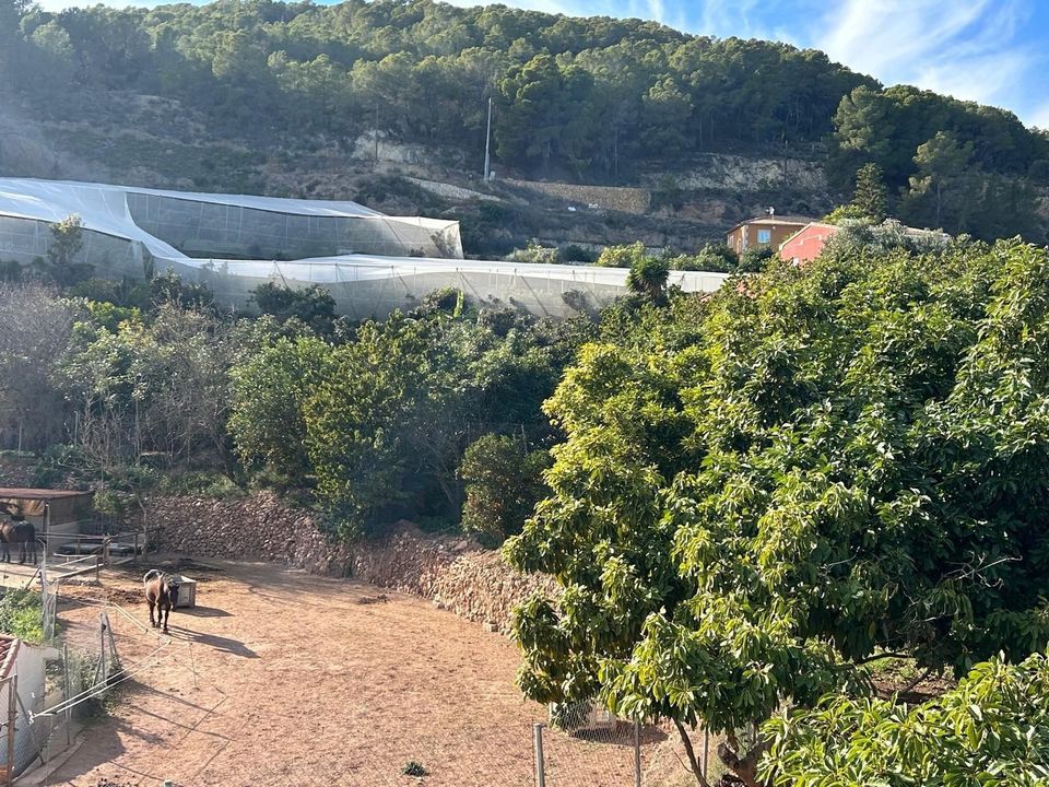 Villa i Polop, Alicante - foto 3
