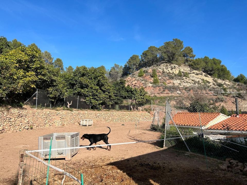 Villa i Polop, Alicante - foto 4