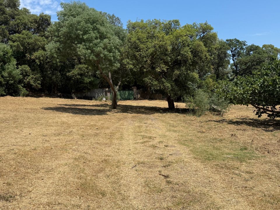 Villa a Cavalaire-sur-Mer, Var - foto 5