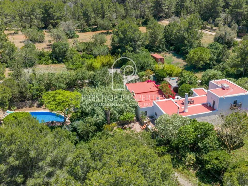 Finca i Santa Gertrudis De Fruitera, Ibiza - foto 4