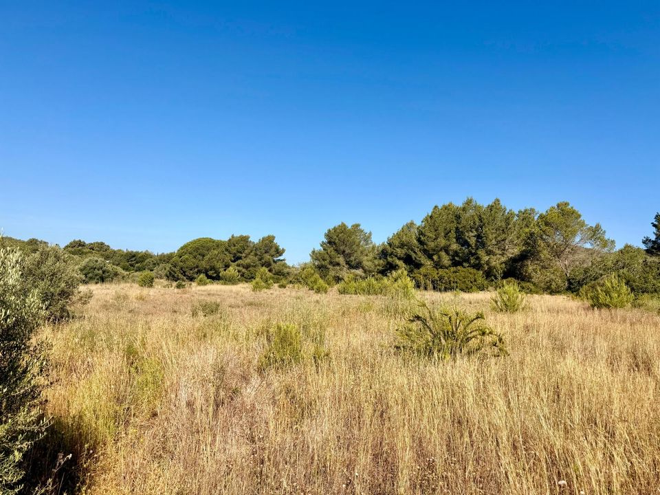 Helårsgrund i Santa Gertrudis De Fruitera, Ibiza - foto 5