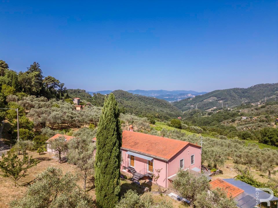 Masia a Fosdinovo, Massa and Carrara - foto 3