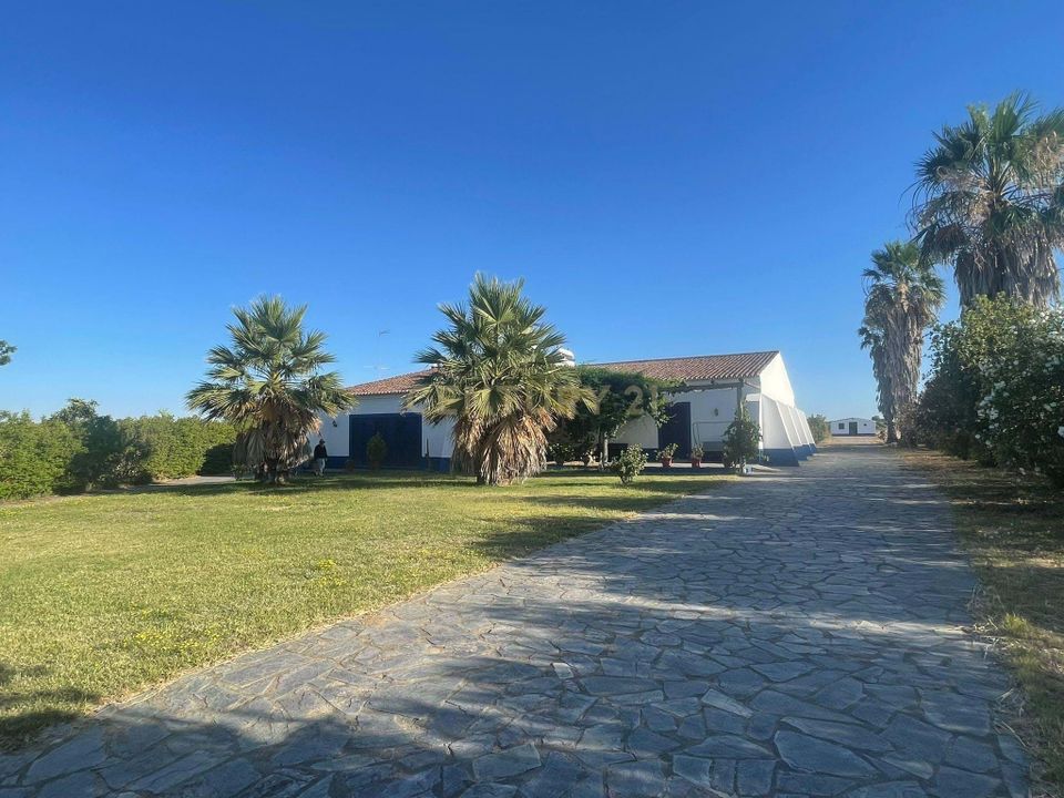 Villa i Reguengos de Monsaraz, Evora - bilde 2