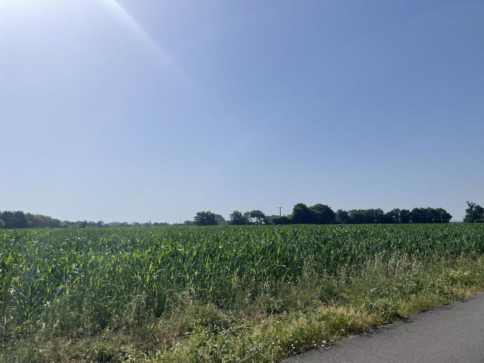 Helårsgrund i La Chevrolière, Loire-Atlantique - foto 1