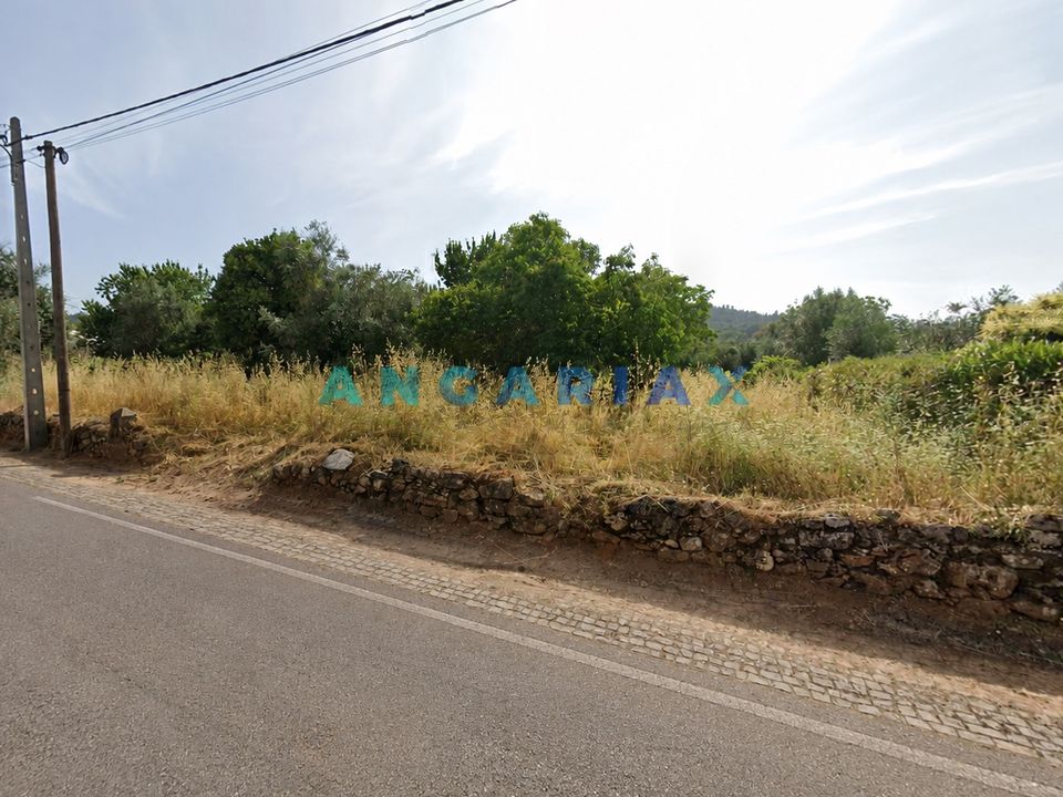 Terra a Alvaiazere, Leiria - foto 1