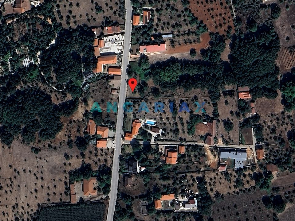 Terra a Alvaiazere, Leiria - foto 2