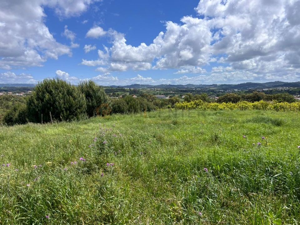 Helårsgrund i Alcobaca, Leiria - foto 2