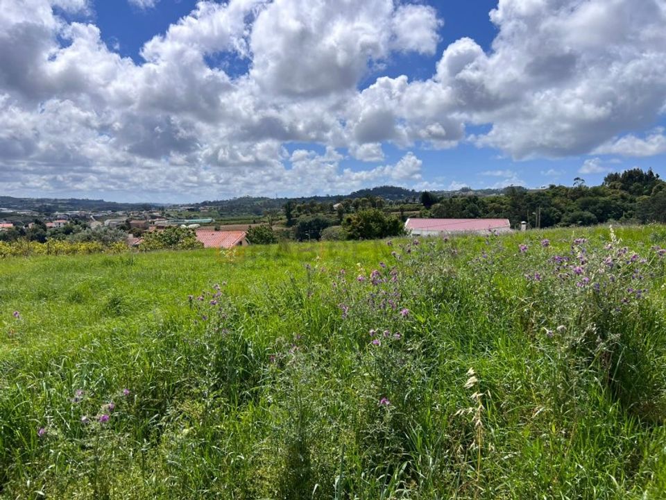 Helårsgrund i Alcobaca, Leiria - foto 3