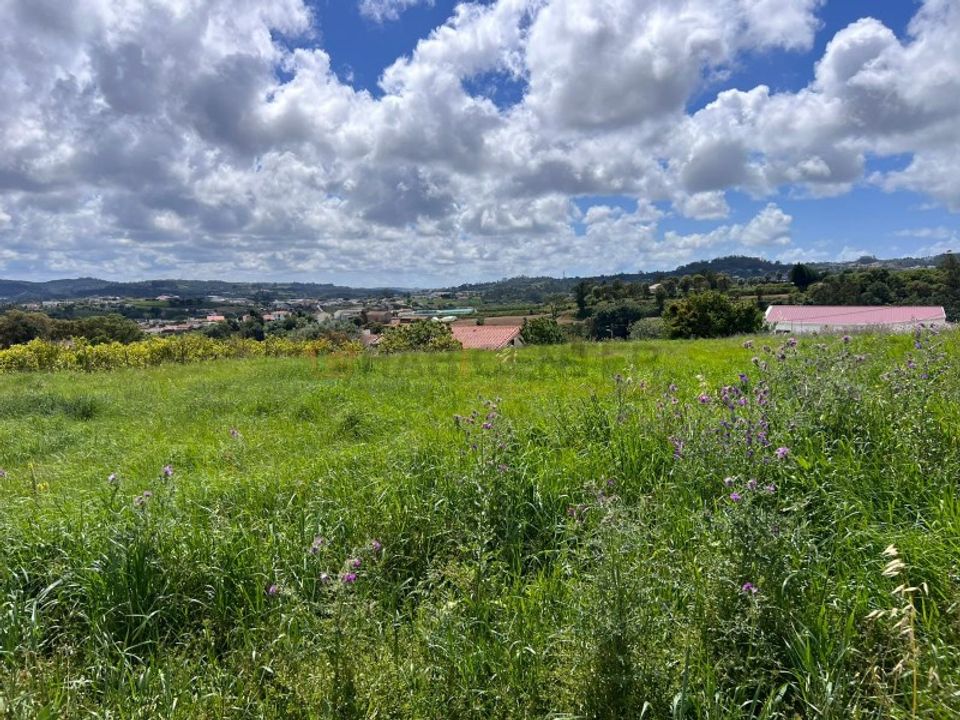 Helårsgrund i Alcobaca, Leiria - foto 4
