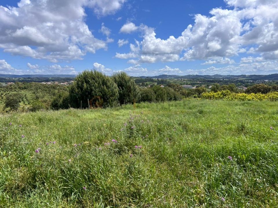 Helårsgrund i Alcobaca, Leiria - foto 5