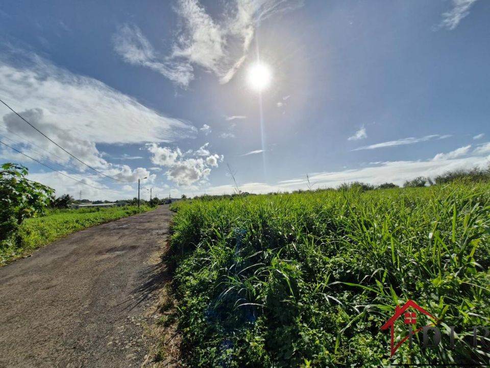 Terra em Lamentin, Guadeloupe - foto 3