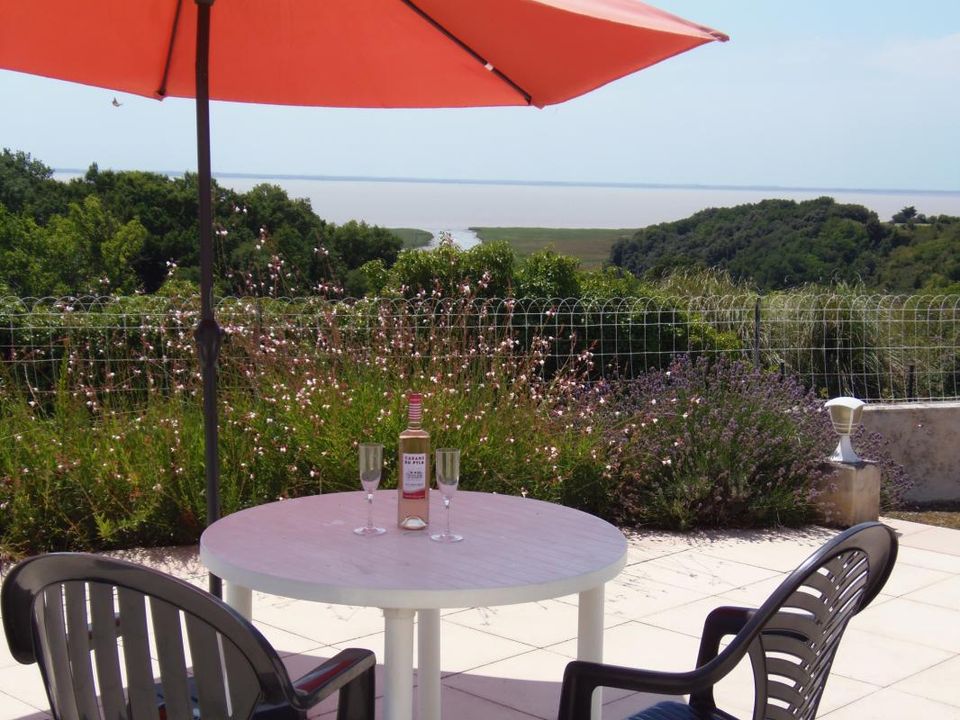 Villa i Chenac-Saint-Seurin-D'Uzet, Charente-Maritime - foto 2