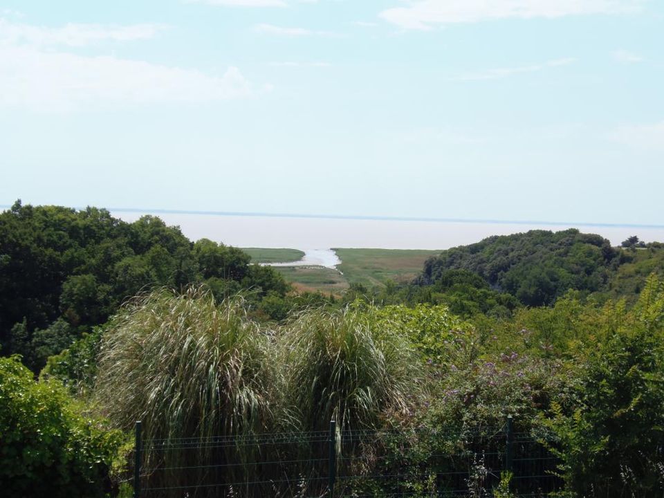 Villa i Chenac-Saint-Seurin-D'Uzet, Charente-Maritime - foto 4