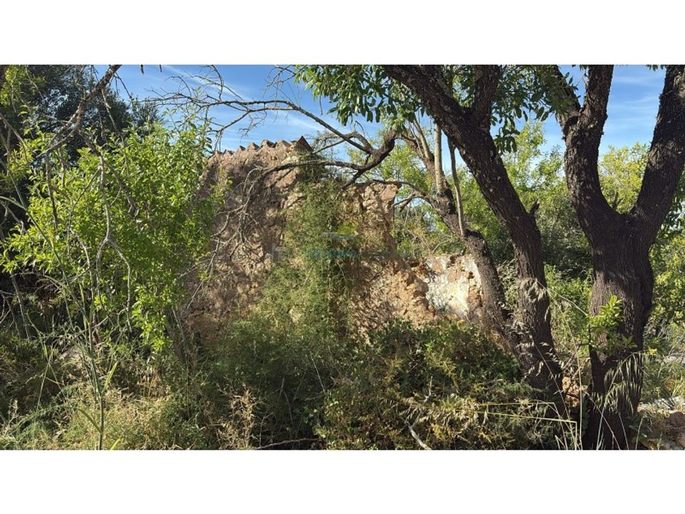 Terreno en Ferreiras, Faro - foto 3