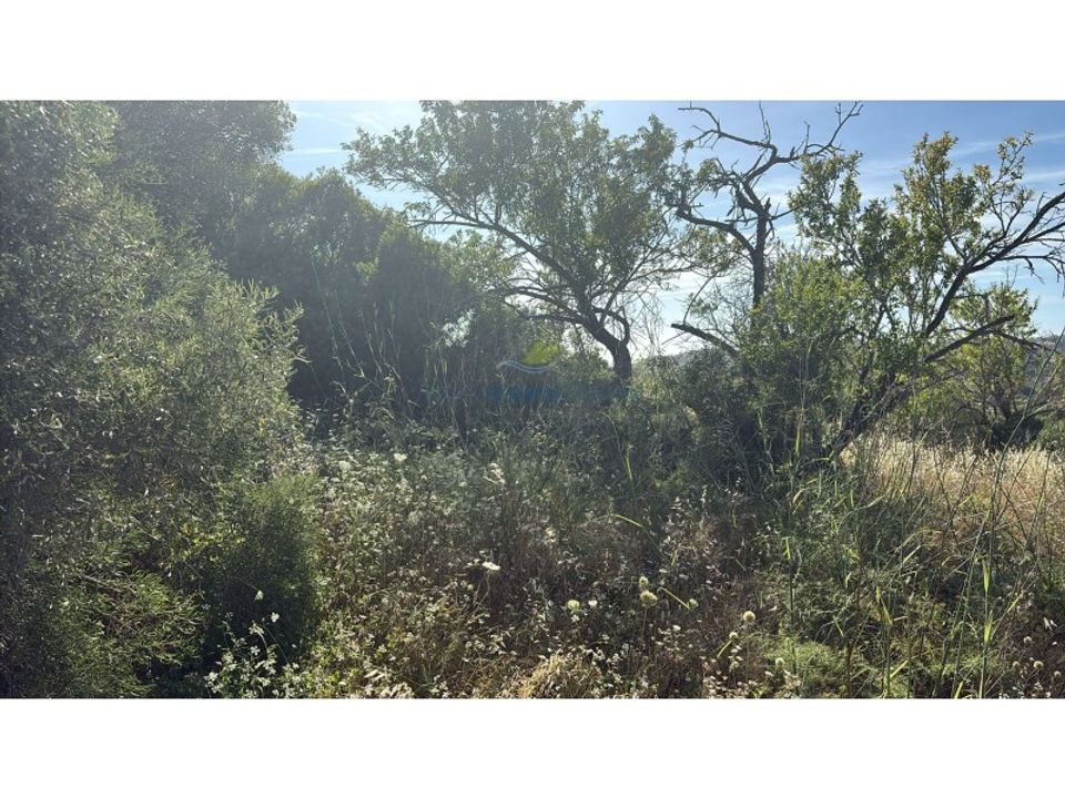 Terreno en Ferreiras, Faro - foto 5