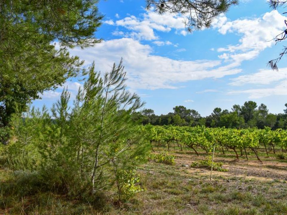 Grond in Valflaunes, Herault - foto 5