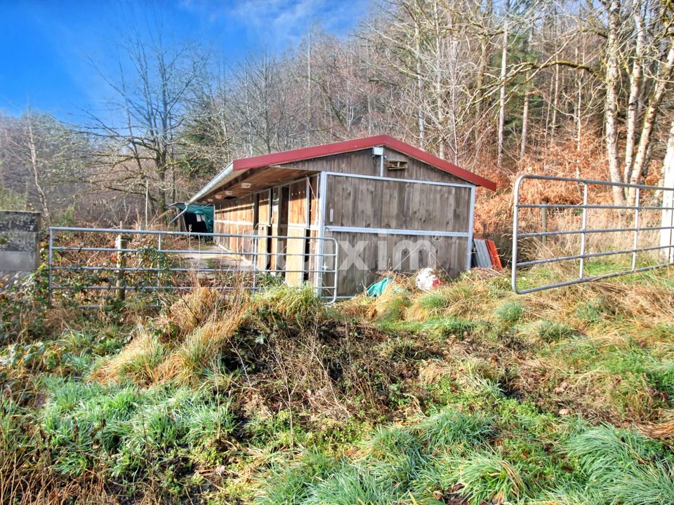 Villa i Raon-aux-Bois, Vosges - foto 2