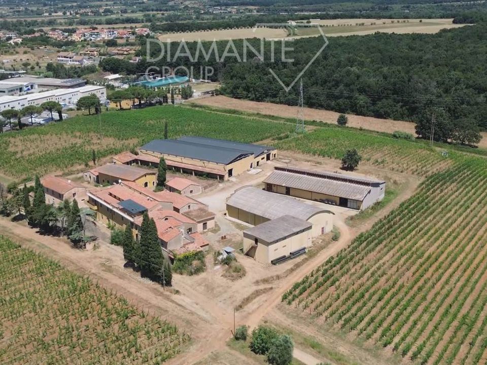 Granja a Montescudaio, Pisa - foto 2