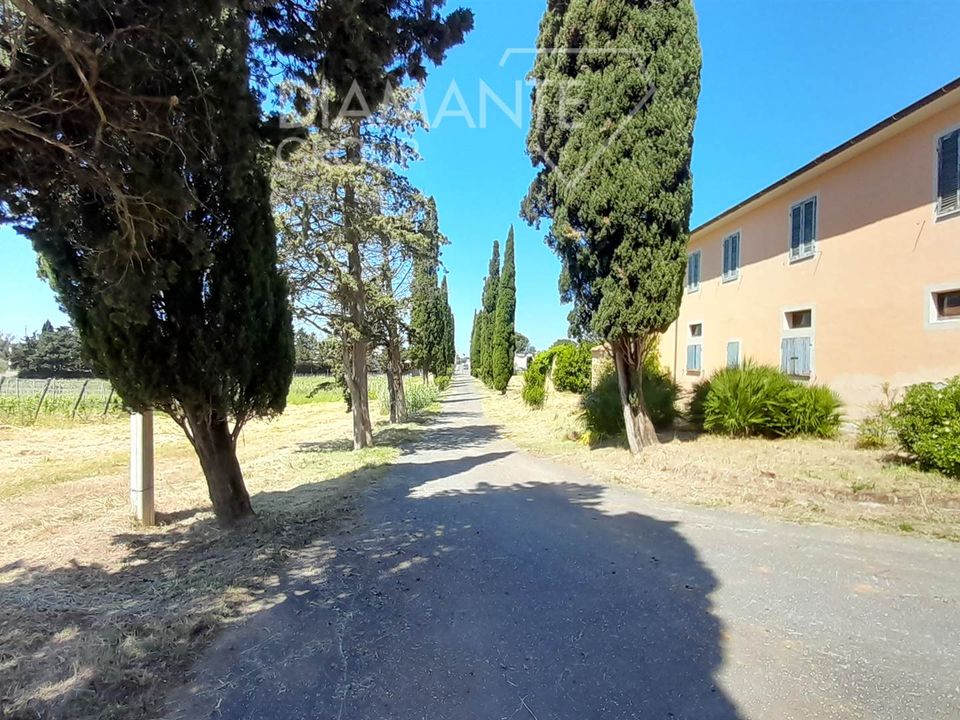 Granja a Montescudaio, Pisa - foto 4