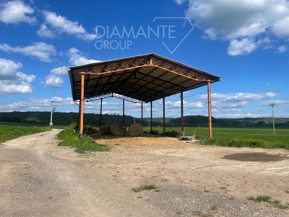 Farm i Valentano, Viterbo - foto 2