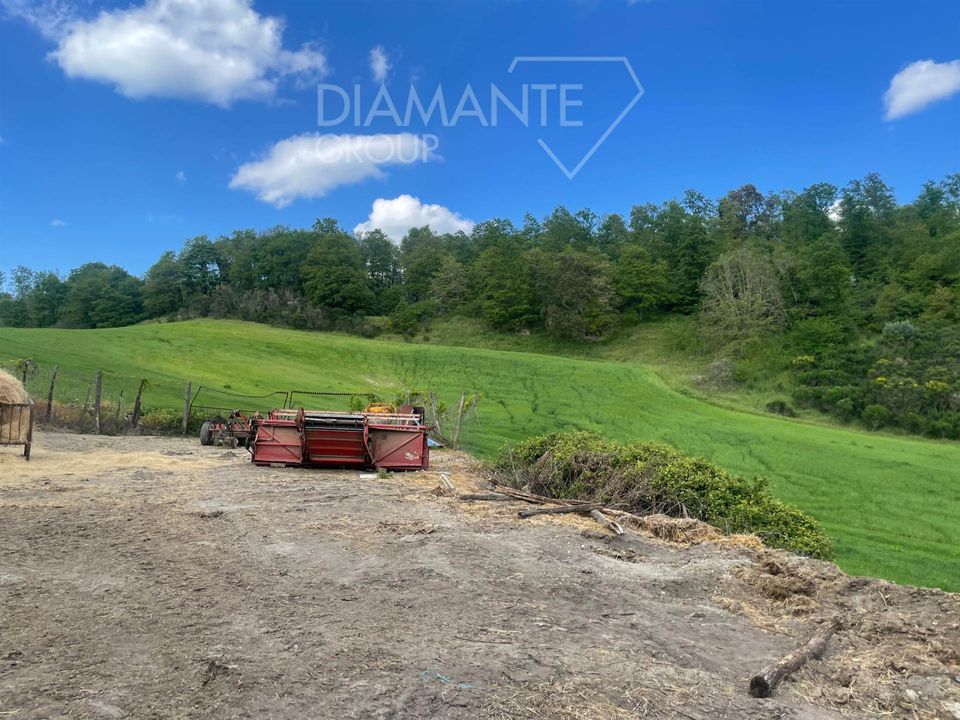 Farm i Valentano, Viterbo - foto 3