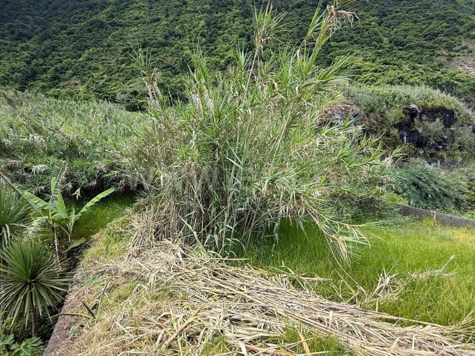 Tomt i Sao Vincente, Madeira - bilde 4