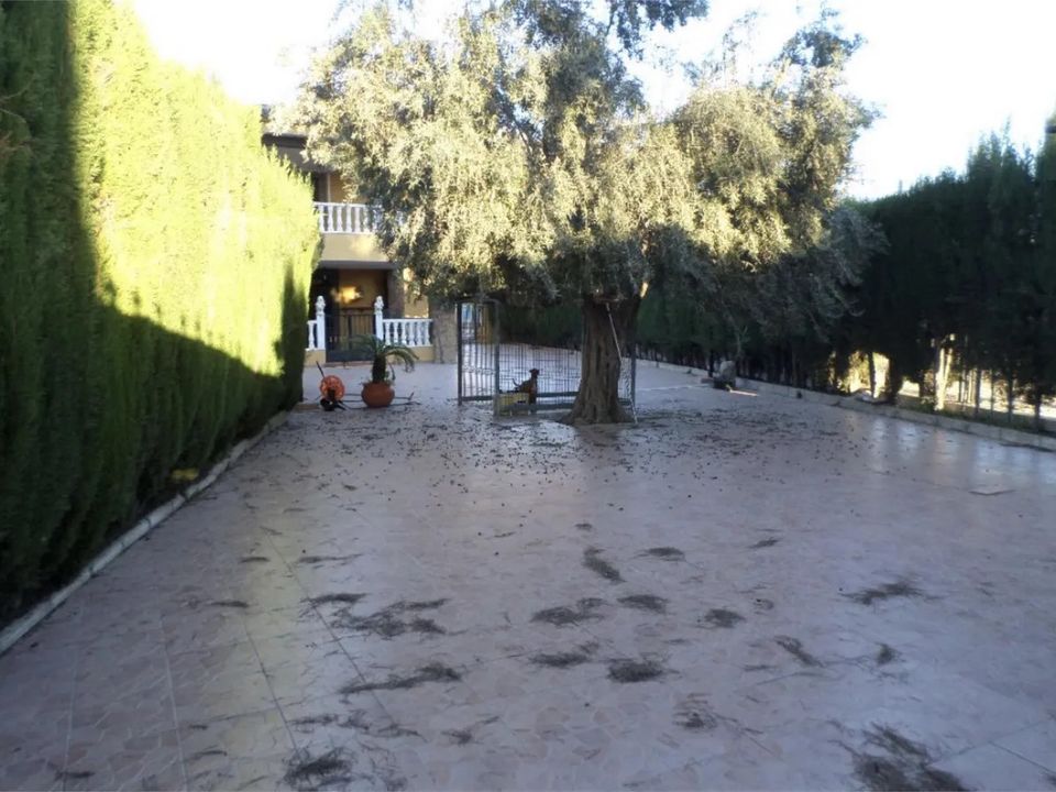 Byhus i Orihuela, Alicante - foto 5