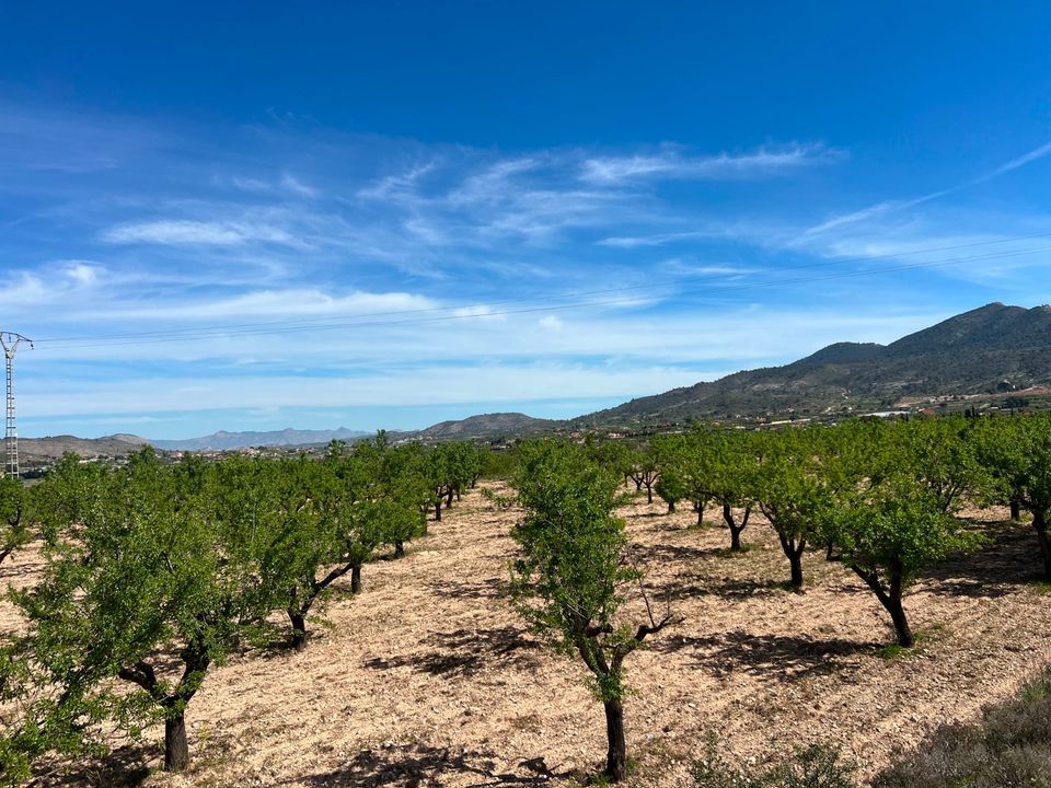 Helårsgrund i Hondon De Los Frailes, Alicante - foto 2