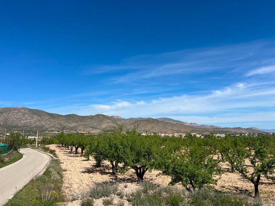 Helårsgrund i Hondon De Los Frailes, Alicante - foto 4