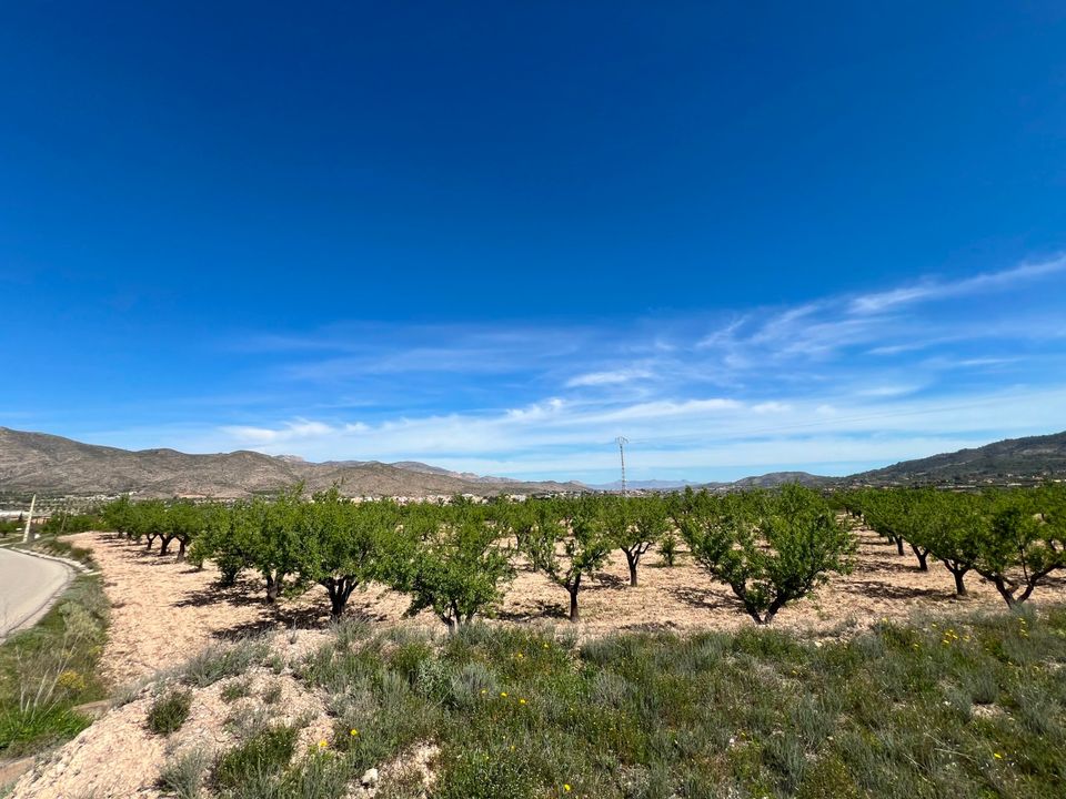 Helårsgrund i Hondon De Los Frailes, Alicante - foto 5