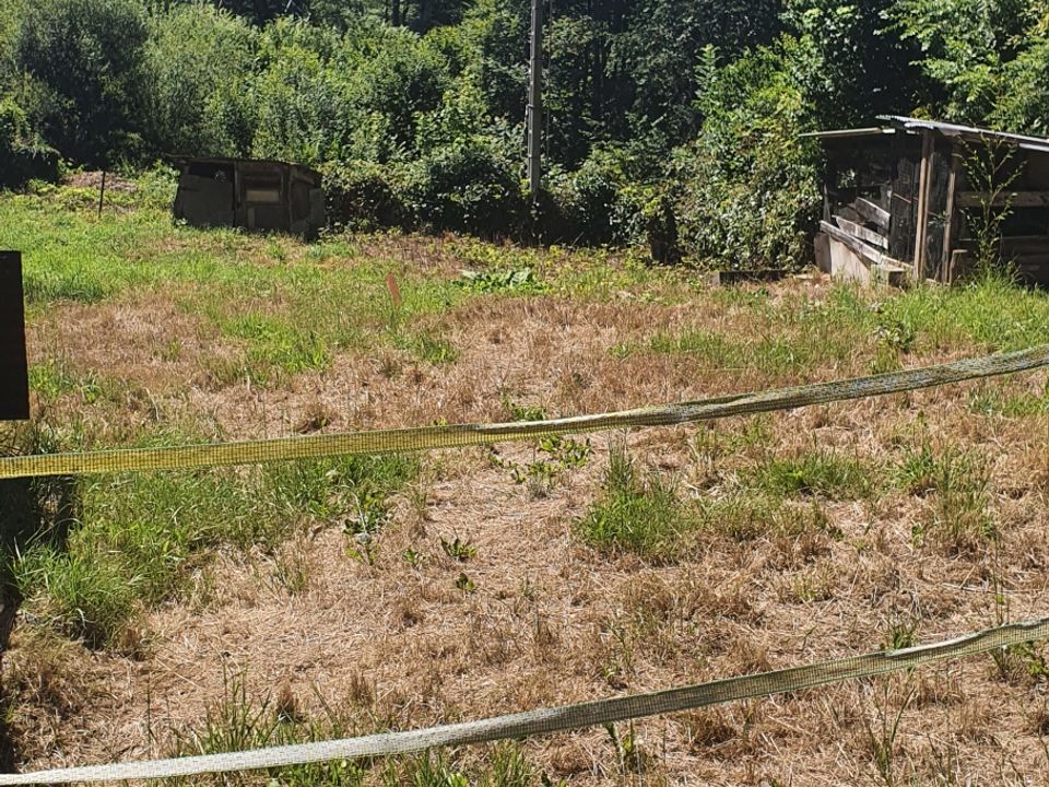Tomt i Eaux-Bonnes, Pyrenees-Atlantiques - bilde 3