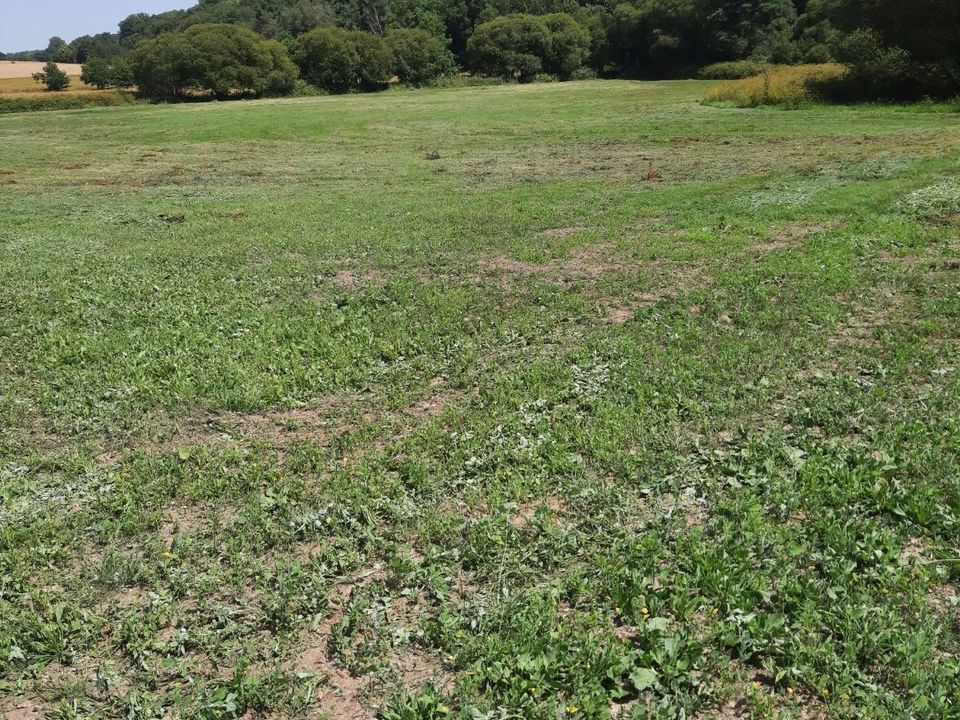 Terreno en Coetlogon, Cotes-d'Armor - foto 2
