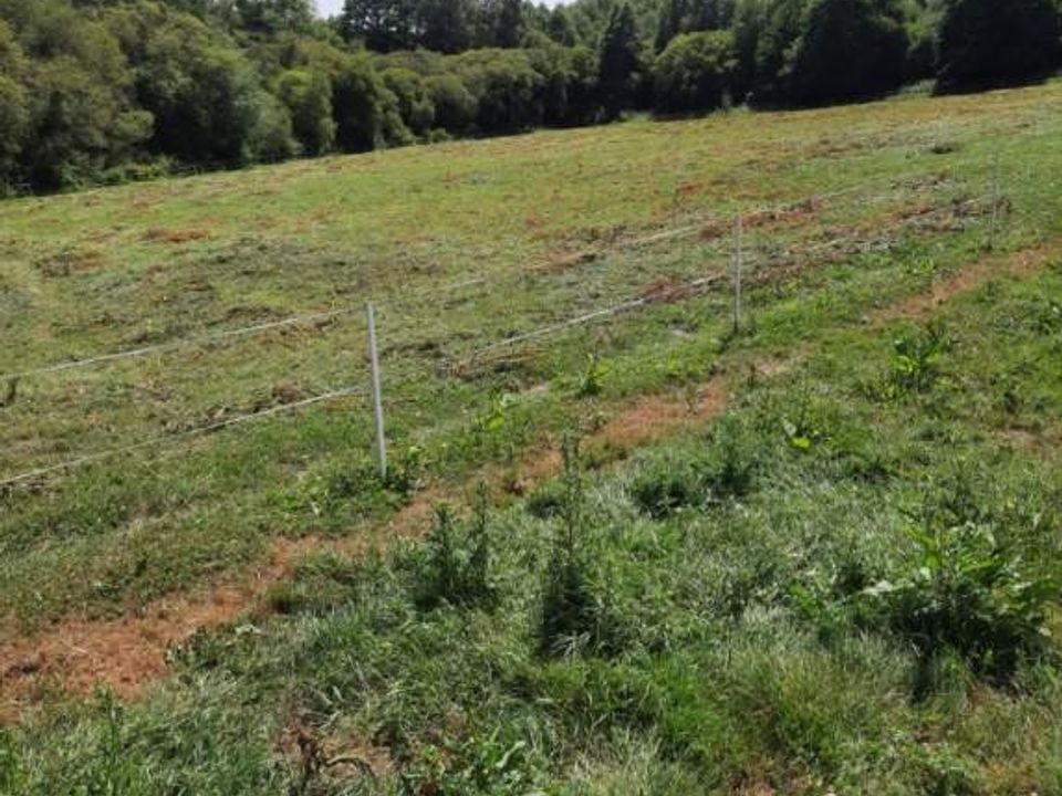 Terreno en Coetlogon, Cotes-d'Armor - foto 3