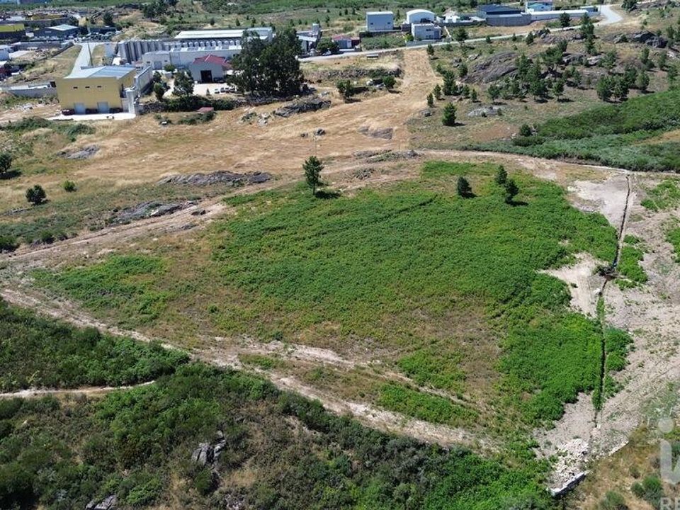 Terra a Alijo, Vila Real - foto 3