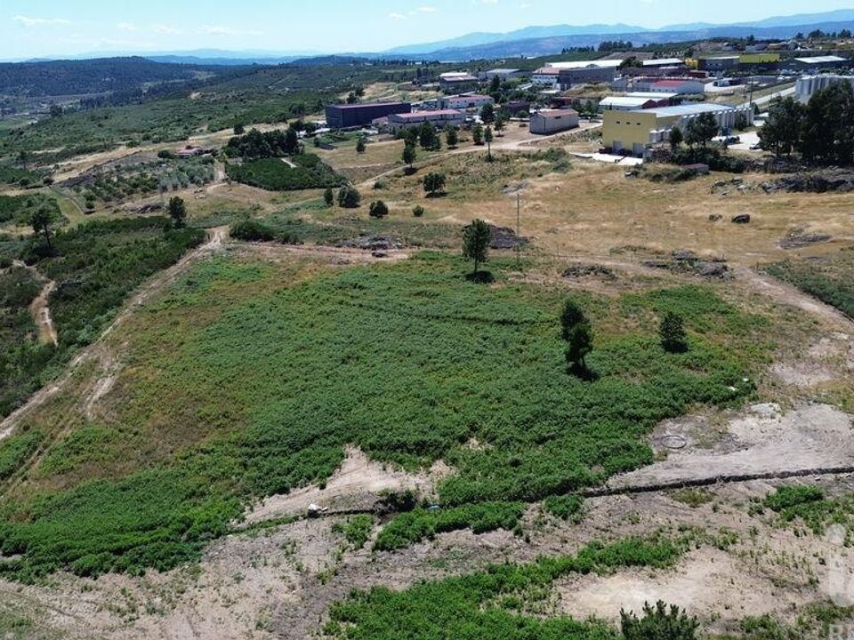 Terra a Alijo, Vila Real - foto 4