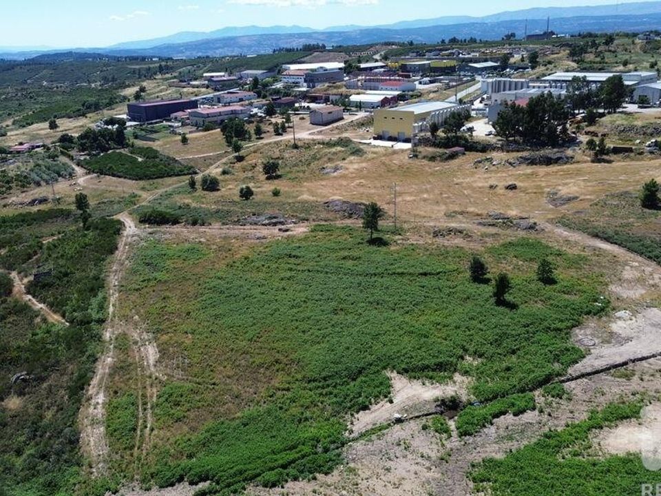 Terra a Alijo, Vila Real - foto 5