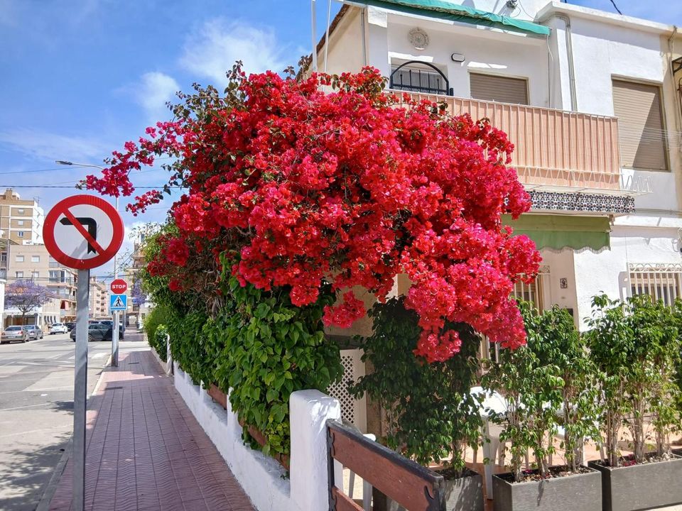 Bungalow i Santa Pola, Alicante - bilde 1