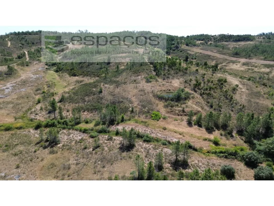 Terreno en Castelo Branco, Castelo Branco - foto 1