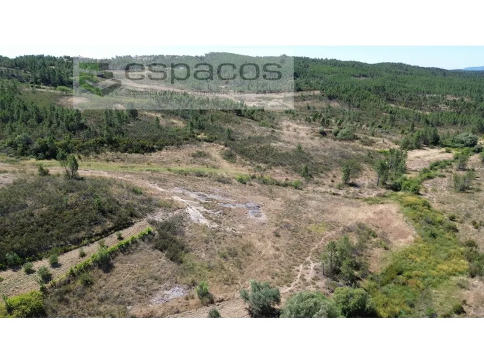 Terreno en Castelo Branco, Castelo Branco - foto 2