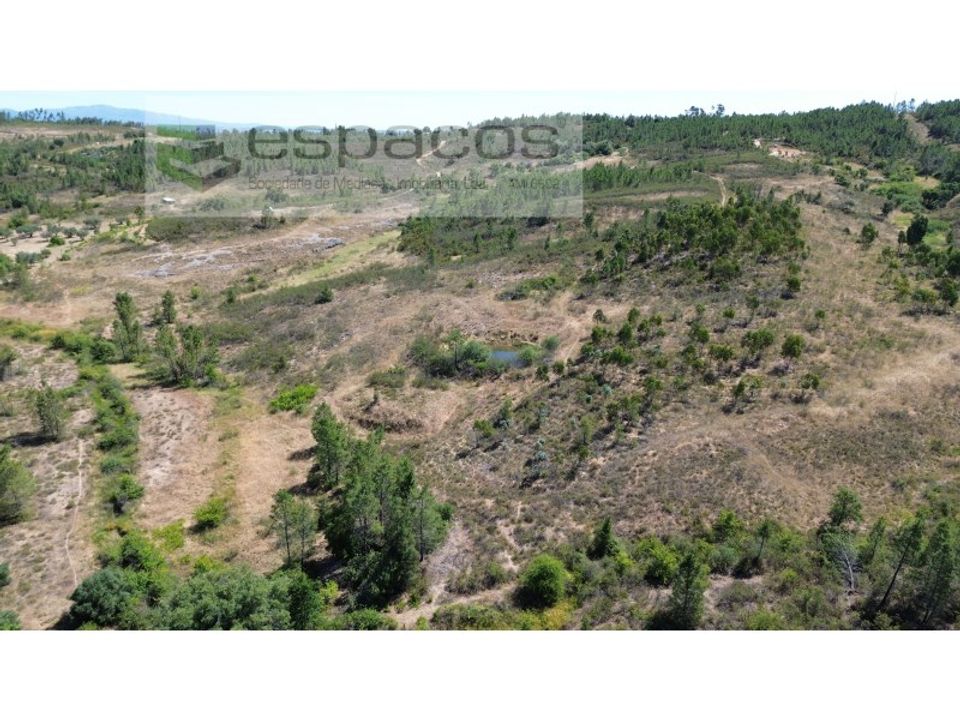 Terreno en Castelo Branco, Castelo Branco - foto 5