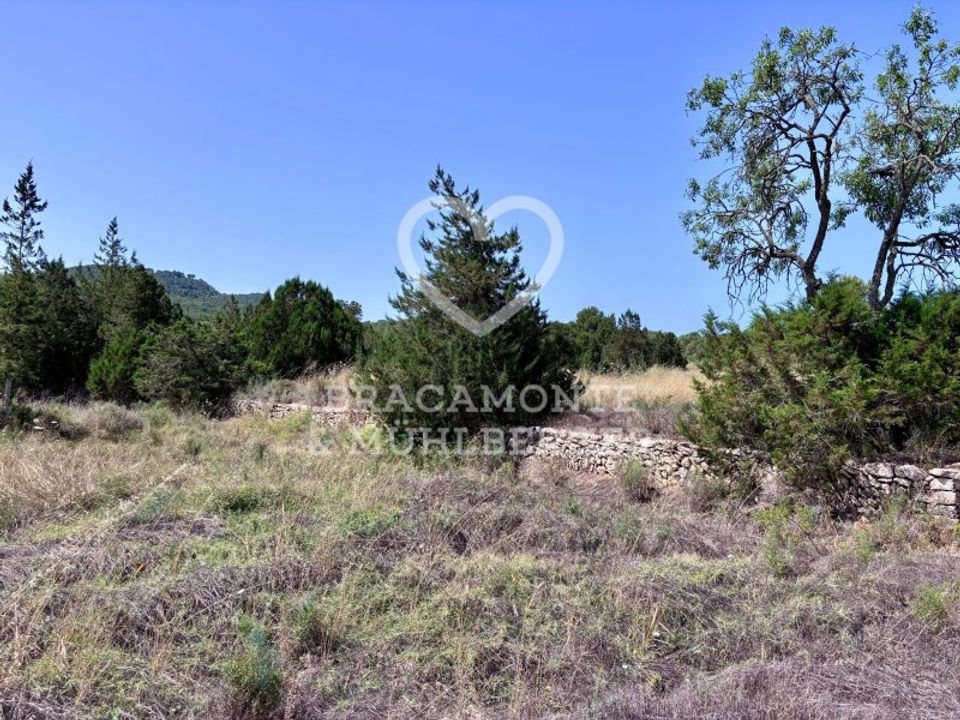 Helårsgrund i Sant Josep de sa Talaia, Ibiza - foto 3