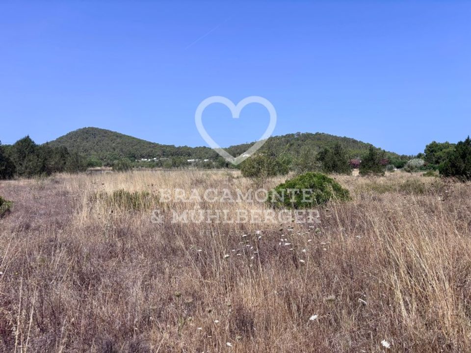 Helårsgrund i Sant Josep de sa Talaia, Ibiza - foto 4
